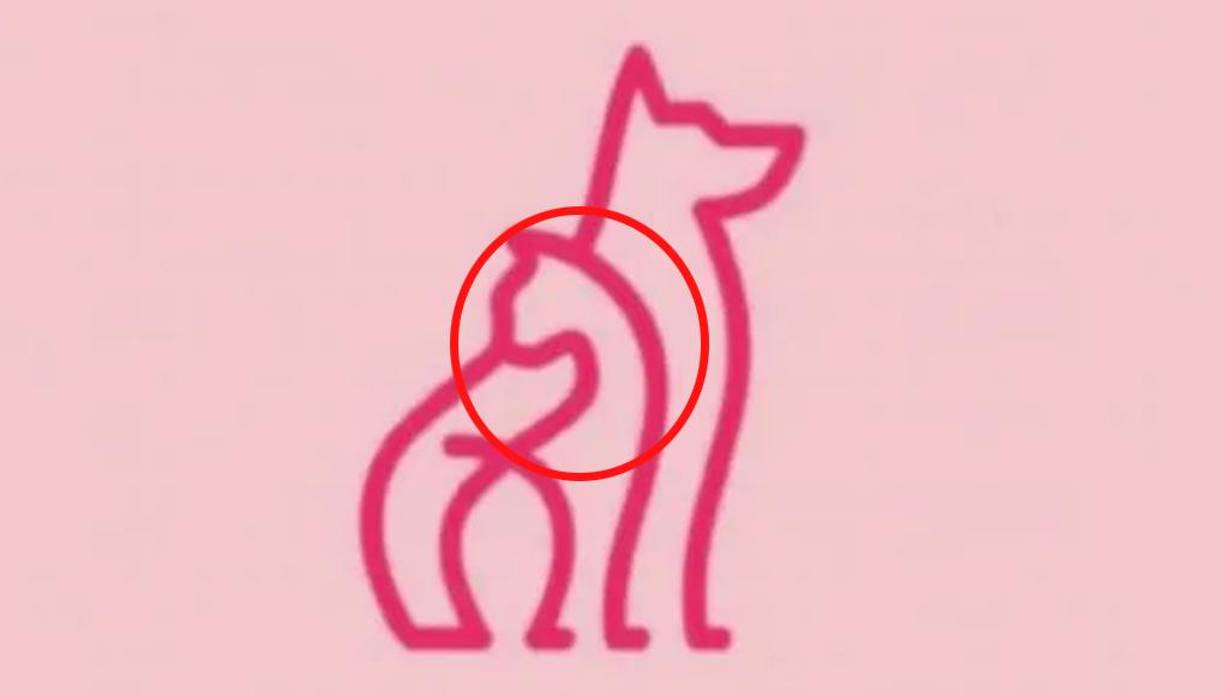 Un gato: si lo primero que viste fue un felino, podrías ser una persona que no se anticipa a los hechos. Eres muy bondadoso con todo el que se cruza en tu vida y te caracterizas por ser amable y generoso. Odias discutir y solo lo haces cuando no tienes otra escapatoria.