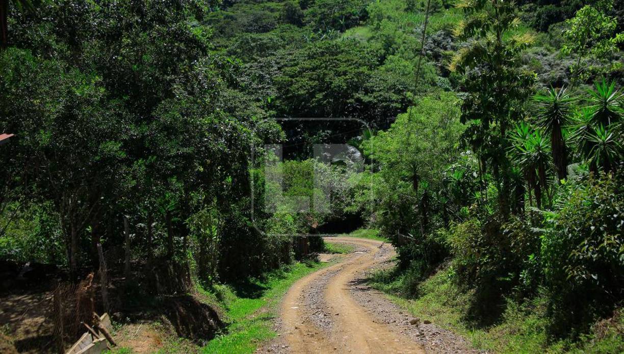 En días soleados, el clima baja a 18 grados y las nubes envuelven todo en un manto de frescura. Incluso se divisa el río Motagua en su desembocadura al mar.Esa posibilidad de ver a Honduras desde otras perspectivas pronto podría estar al alcance de miles de hondureños y extranjeros si se concreta la apertura de una carretera que unirá a los municipios de Quimistán y Omoa y abrirá a todo el corredor occidental del país la posibilidad de tener una salida propia al mar Caribe, evitando al valle de Sula y su caos vial.