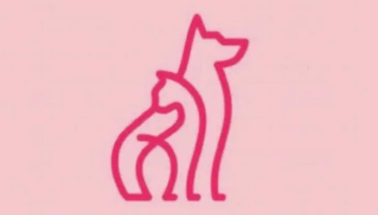 En este divertido test visual descubrirás algo que no sabías sobre tu personalidad. El primer animal que veas refleja algo oculto de tu ser. 