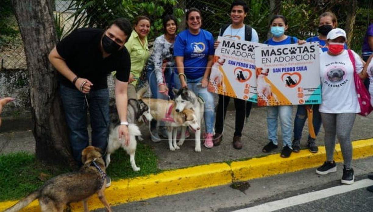 En la marcha también hubo perritos de otras razas.
