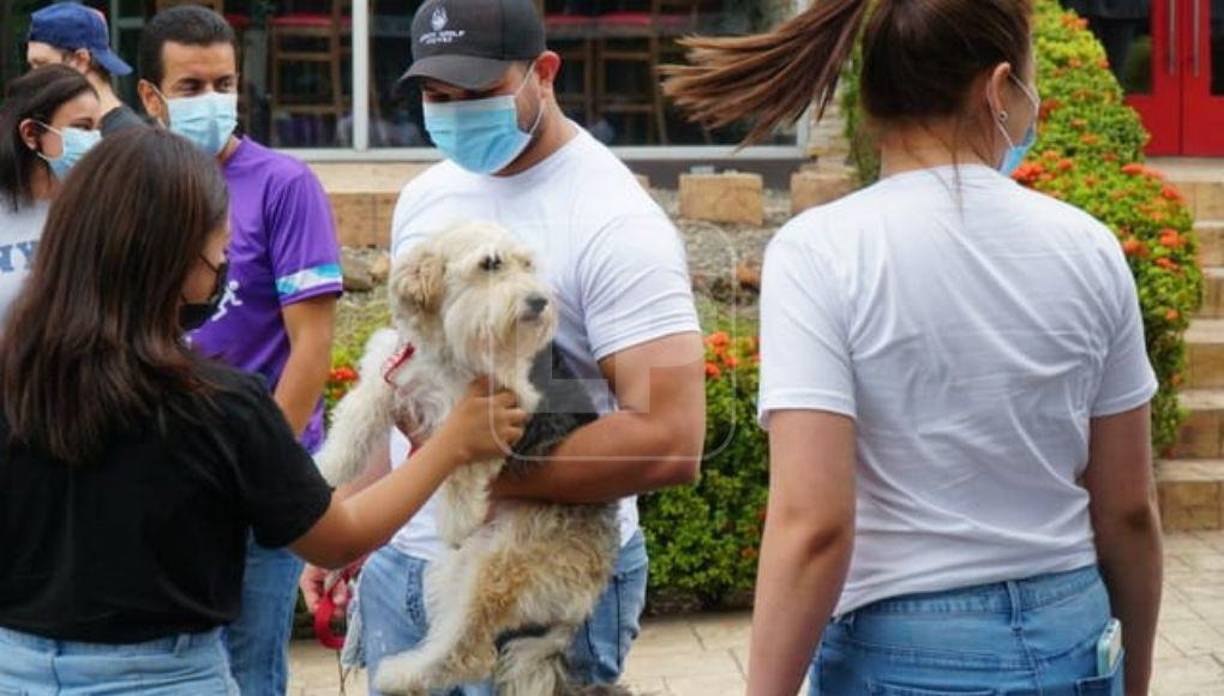 Razas pequeños también hubo.