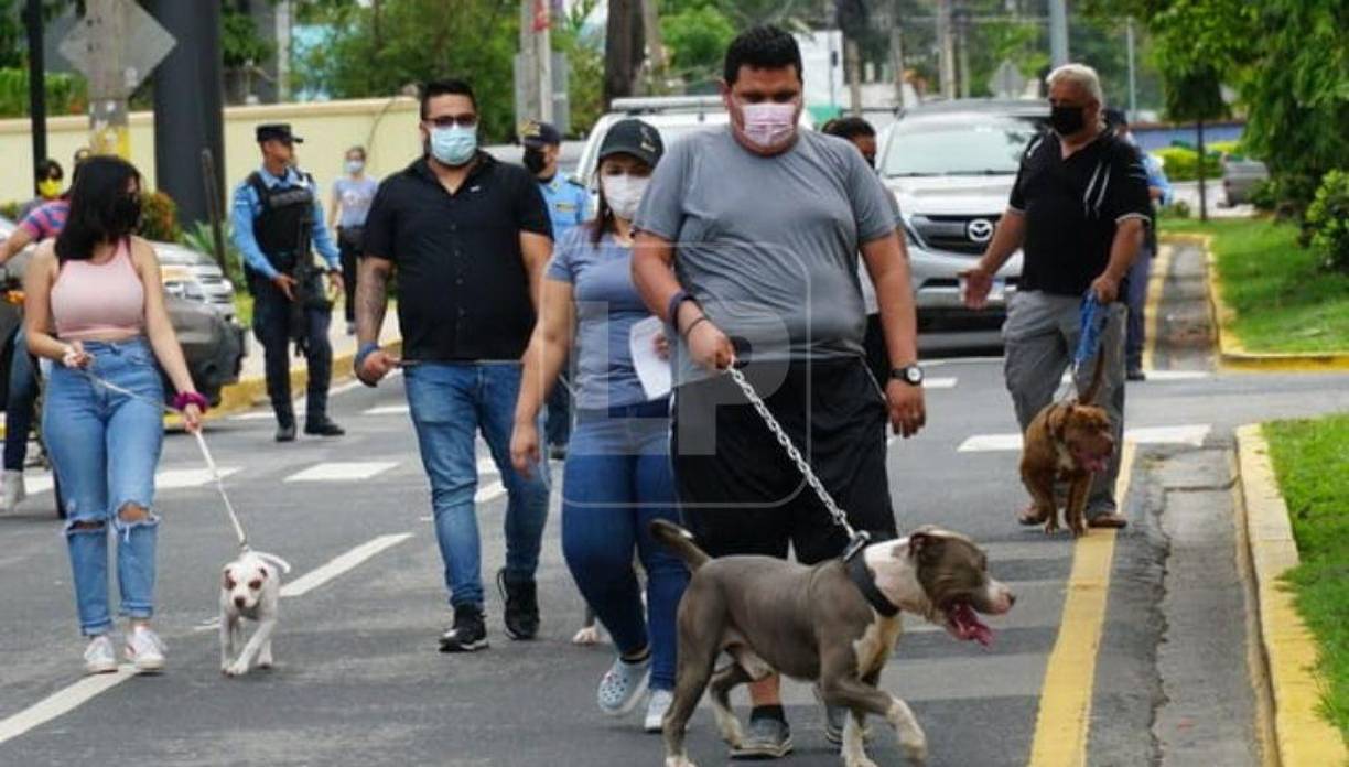 Grandes, pequeños y hasta de distintos colores. Los “peluditos” llenaron de alegría la ciudad.