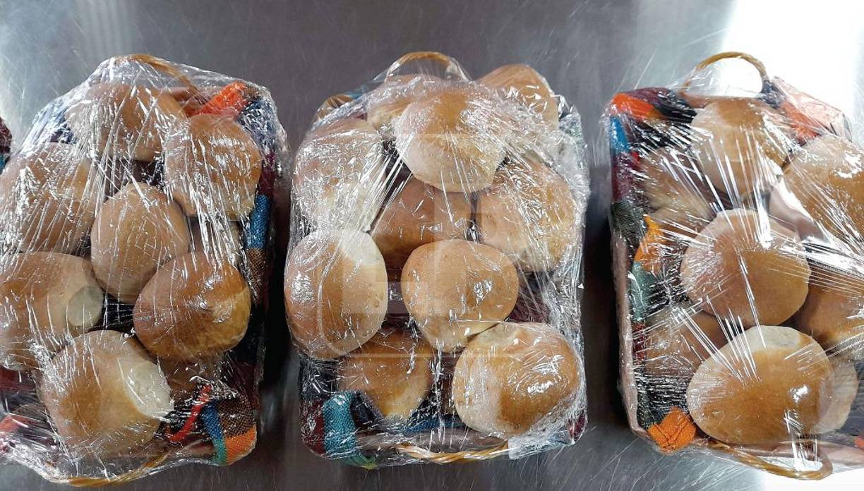 Añadió que habrá cursos adicionales para capacitar a meseros o camareros de hoteles. 