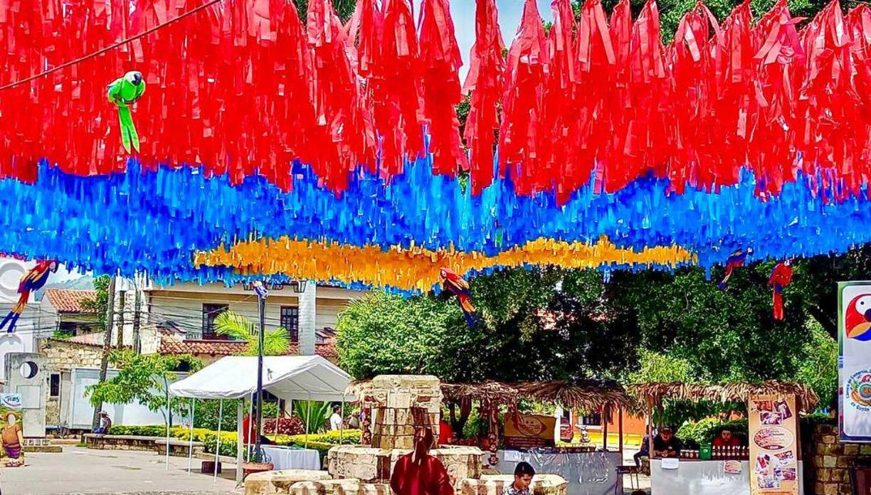 Mañana se liberará a ocho guaras que se unirán a las más de 100 especies que han sido liberadas. 