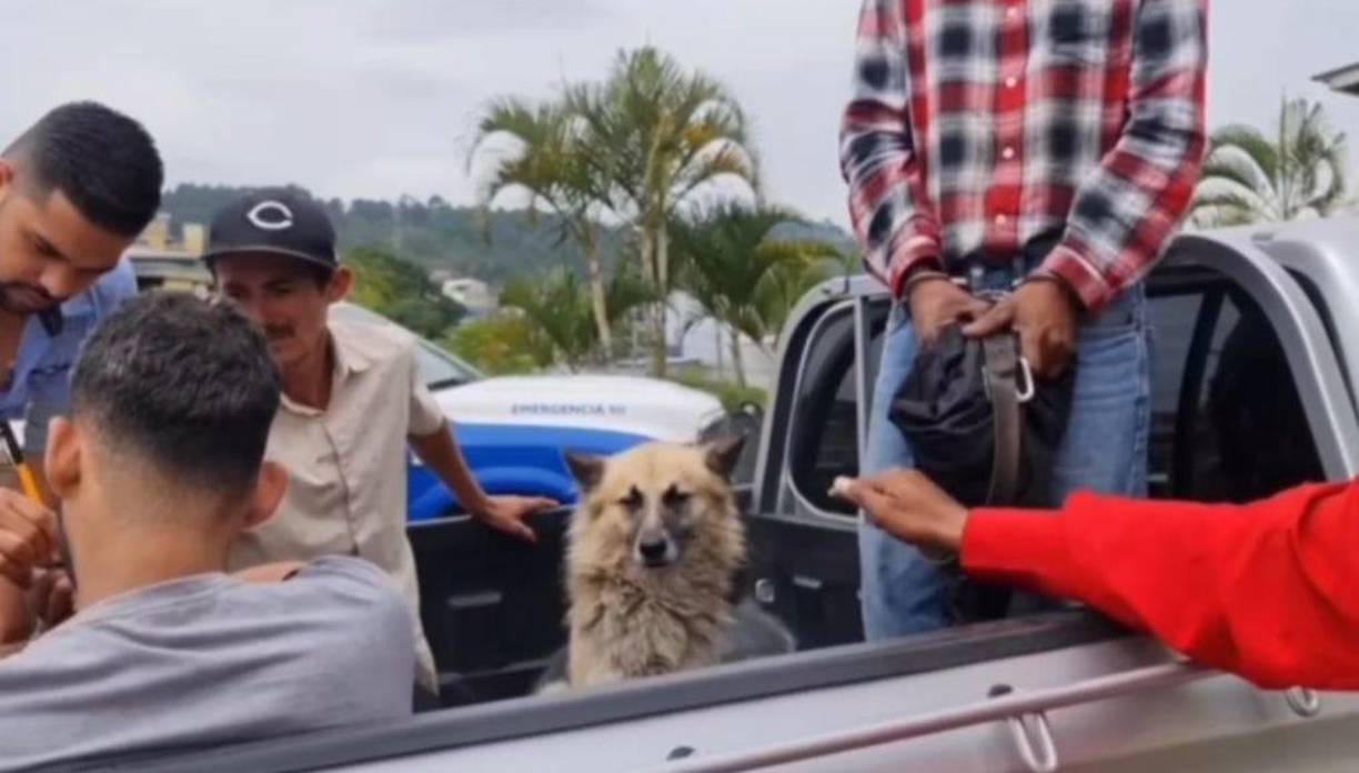 El perrito se ubicó al lado de su añ}mo y de otros hombres.