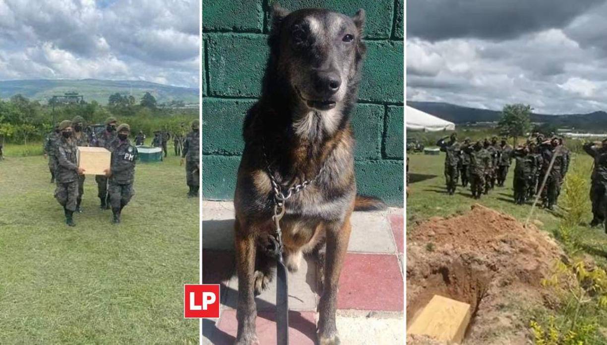 Los perros son una parte importante de los cuerpos de seguridad del Estado de Honduras, por esa razón, cuando uno de ellos fallece, es despedido con honores por sus compañeros de trabajo.