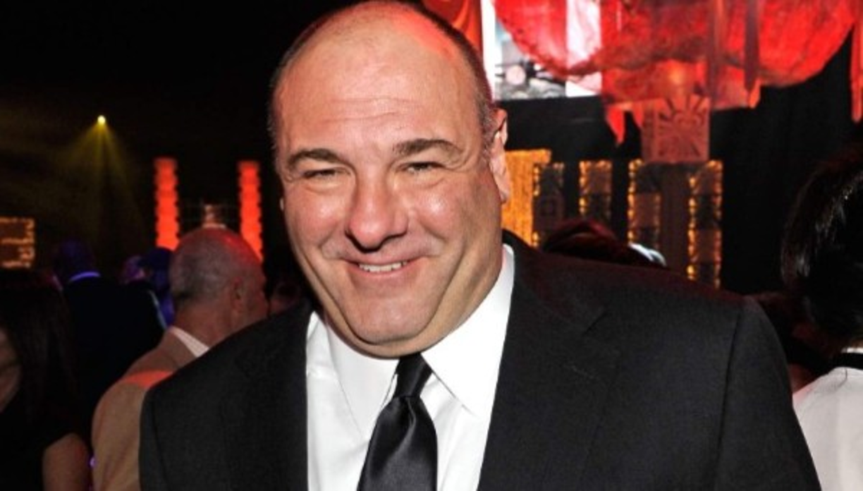 James Gandolfini: Otro artista que murió de repente fue el astro de la serie televisiva 'Los Soprano' James Gandolfini, quien en junio de 2013 fue hallado por su hijo Michael en una habitación de un hotel en Roma tras sufrir un ataque cardíaco.