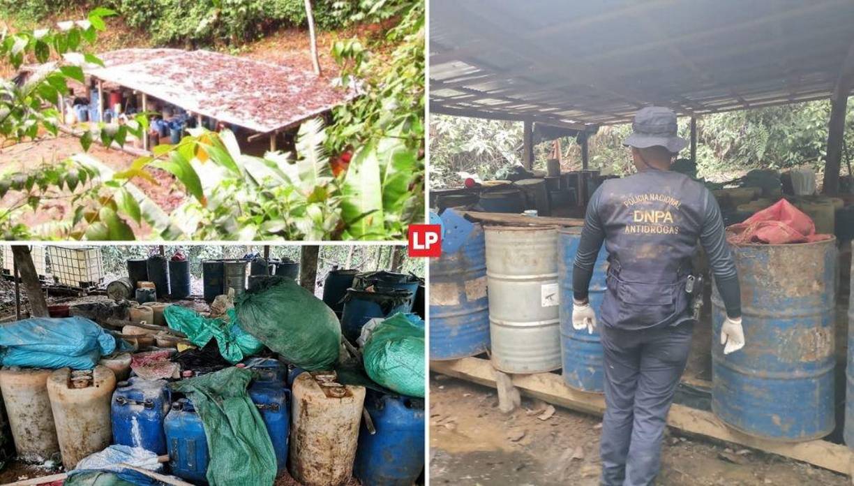 Tres laboratorios fueron desmantelados este miércoles, 20 de julio, en el Parque Nacional de Patuca, Olancho, al oriente del país.