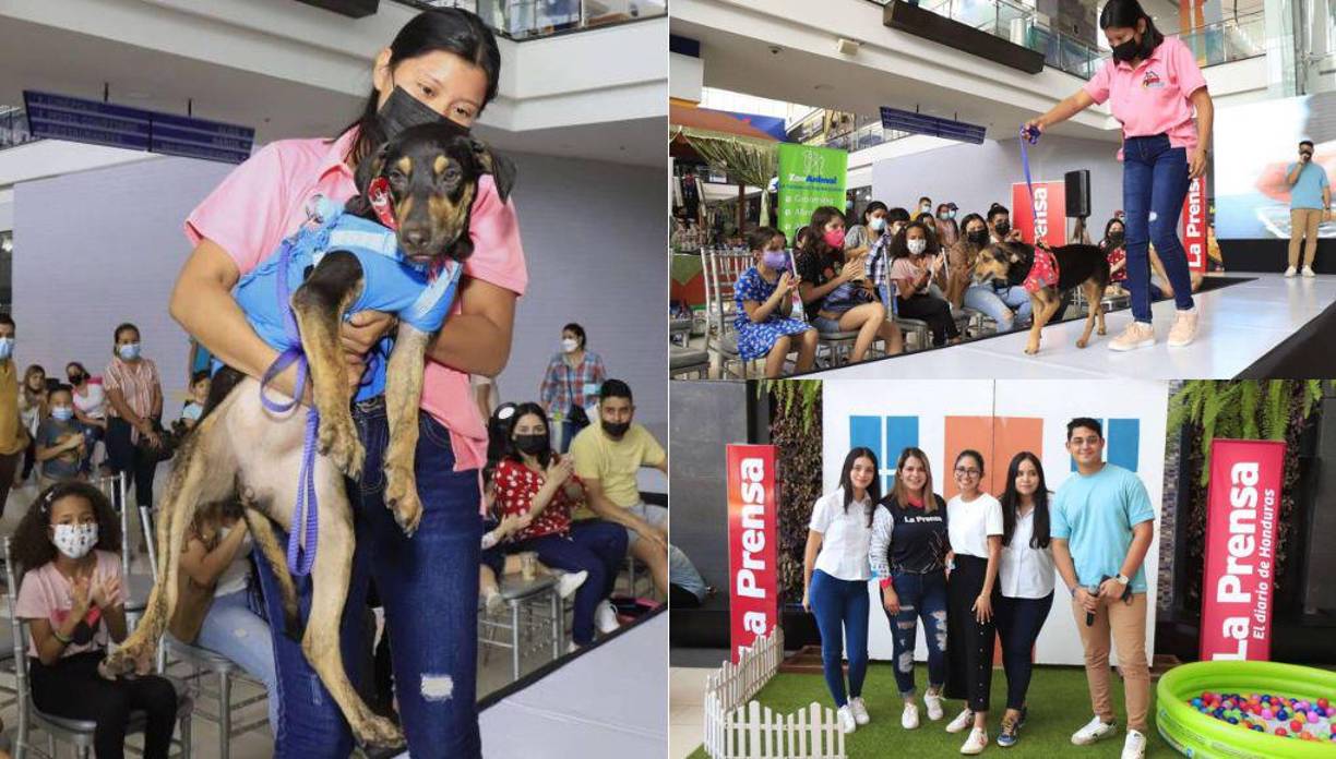 Pet Ville es un evento organizado por Diario LA PRENSA con el patrocinio de diferentes empresas para el apoyo de la Fundación Amor y Abrigo.