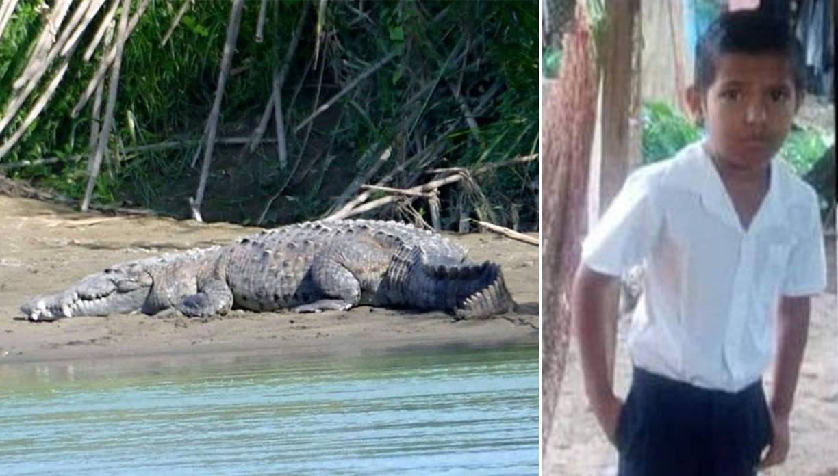 El pequeño Julio Rubén Otero Fernández de nueve años es la víctima mortal del ataque del cocodrilo en Costa Rica. La familia del menor es de Nicaragua. Maryini Fernández, madre del pequeño contó que el cocodrilo salió del río de pronto y que en un abrir y cerrar de ojos el reptil atacó a su hijo y que cuando lo llevaba en sus fauces, ella trató de rescatarlo sin éxito.