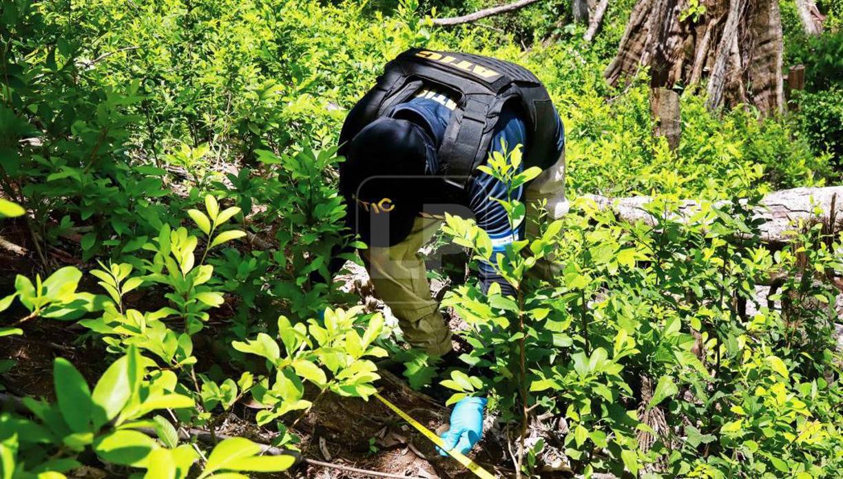 “Ha habido un debilitamiento de la institucionalidad y la idoneidad de los servidores públicos, por eso [hay un] narcopresidente, narcodiputados, narcoalcaldes, narcoempresarios” presos en Estados Unidos, dijo a la AFP el general retirado Luis Maldonado.