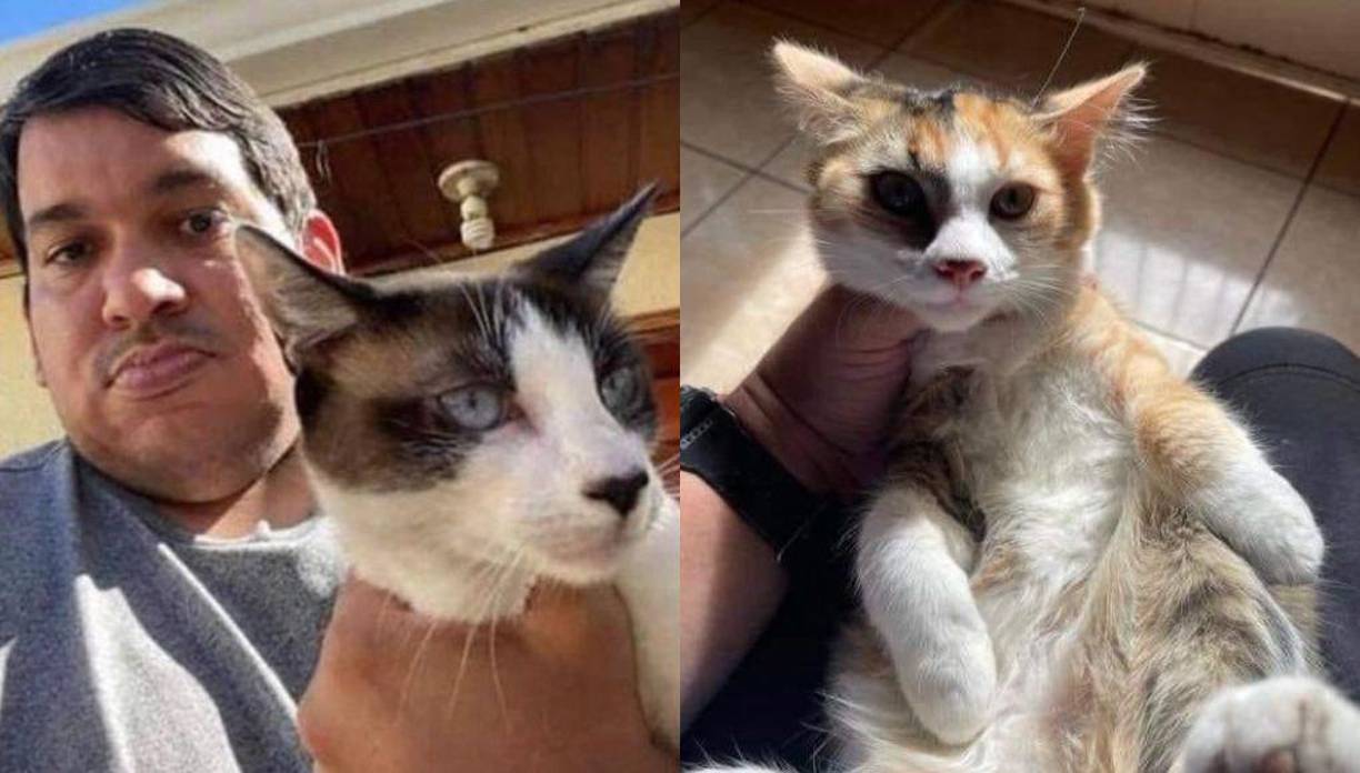 Sin embargo, las autoridades policiales no han actuado en su contra.