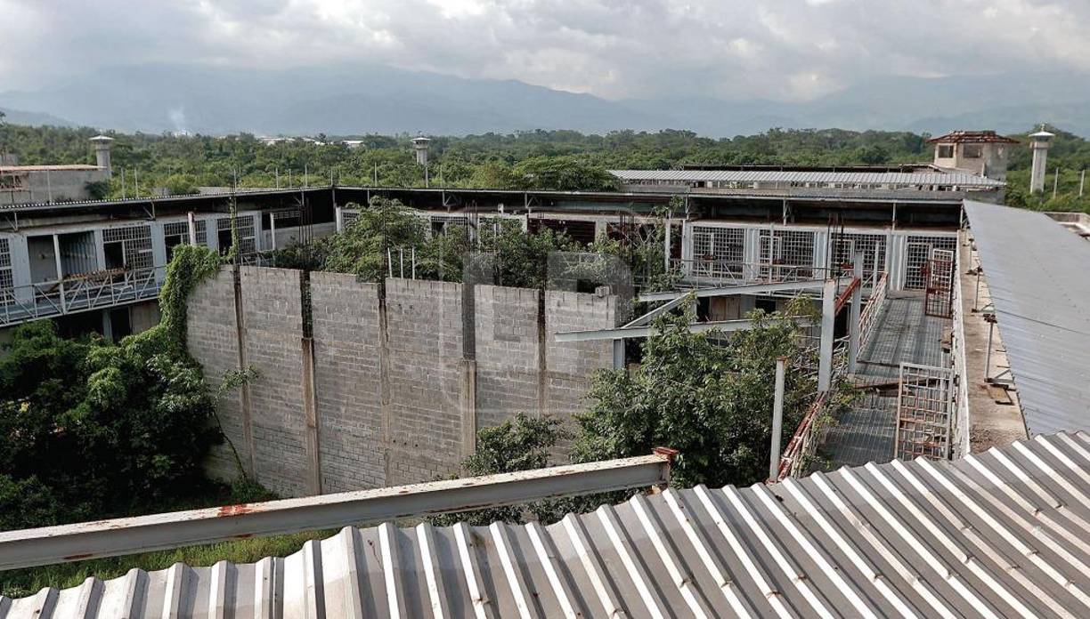 Además de estar cubierto por la maleza, está repleto de peligrosos animales como serpientes venenosas, gusanos, murciélagos y zancudos Aedes Aegypti, esos que transmiten el peligroso dengue.