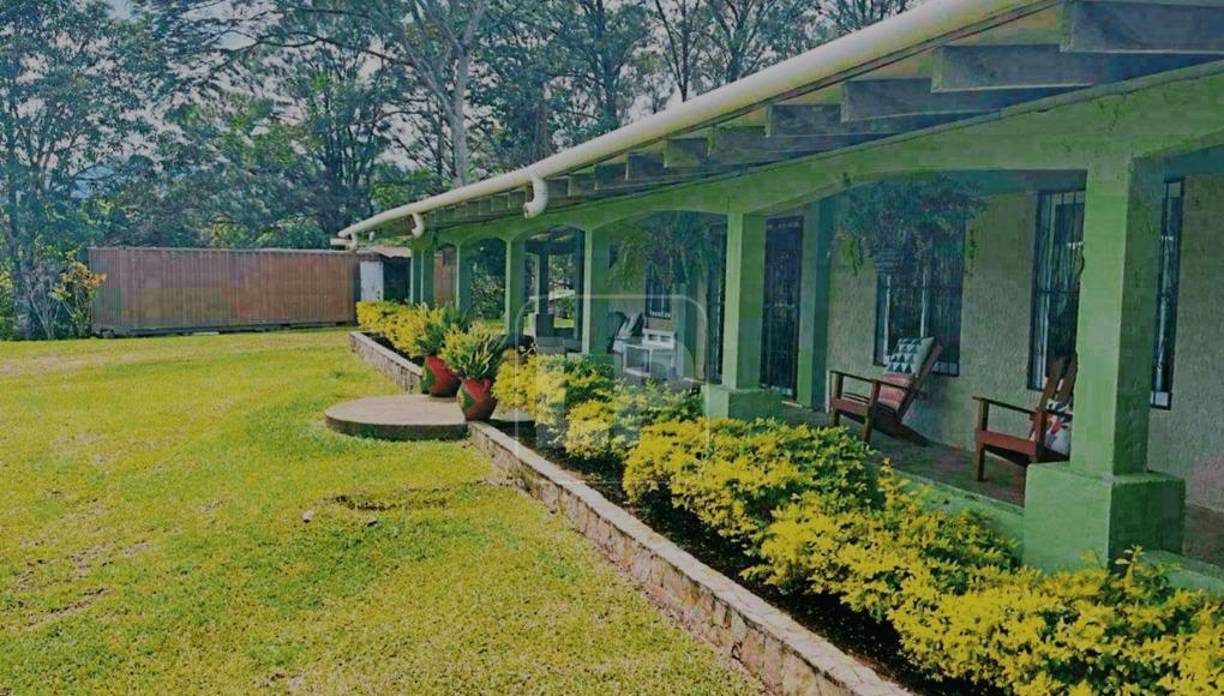 Esas declaraciones fueron tomadas luego de que en el hogar Puertas Abiertas de Tocoa, saliera a la luz el abuso que cometían desde el director del centro hasta las personas que estaban encargadas supuestamente de cuidar a los niños.Los niños y adolescentes están tan afectados, que todo les da temor, los abusos físicos y psicológicos lo sufrieron por varios años y lo peor era la amenaza de todo el grupo de empleados , manifestó la fuente consultada por La Prensa Premium.