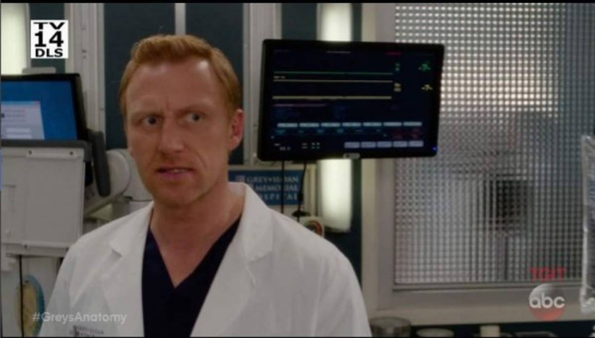 Creada y producida por Shonda Rimes, la temporada 14 de Grey's Anatomy estrenó ayer en Canal Sony y puede verse a partir de las 7:00 pm.