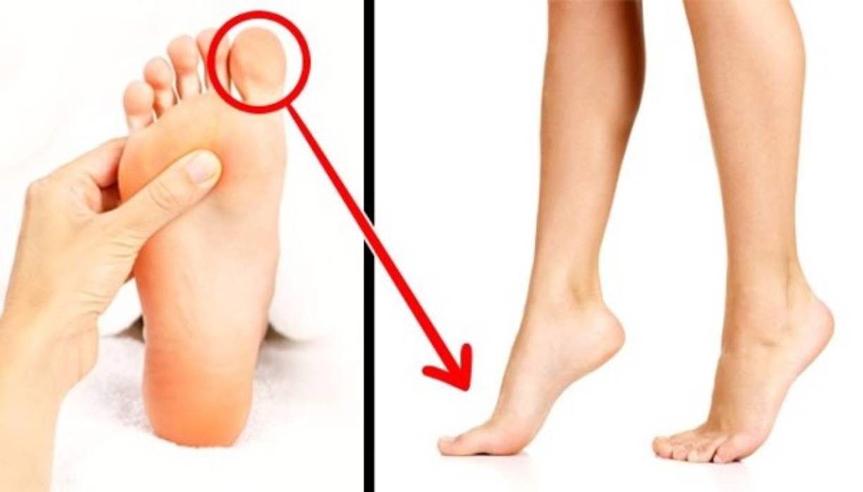 DEDOS GORDOS. Todos sabemos dónde se encuentra pero a menudo no nos ponemos a pensar que precisamente a esta parte del cuerpo le corresponde una función importante en la evolución.<br/>Justo gracias a la anatomía especial de los dedos gordos de los pies, podemos mantener el equilibrio durante mucho tiempo estando de pie. Y esta es una de las habilidades importantes que distingue al ser humano de otros mamíferos.