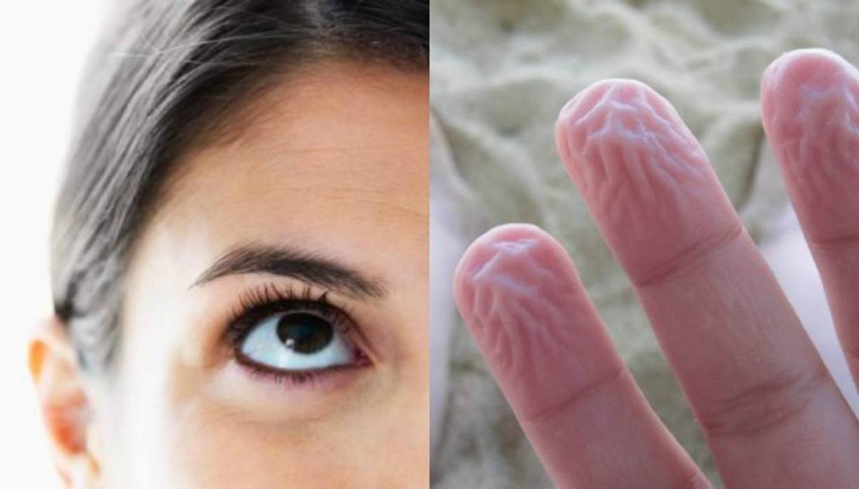 Conoce la respuesta de algunas preguntas que siempre has buscado.