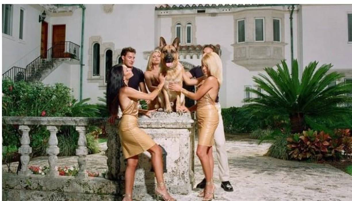 El patrimonio neto de esta mascota, según la página web All about cats, <b>podría llegar a los 400 millones de dólares</b>, colocándolo como la mascota más rica del mundo, seguido de Nala Cat (300 millones) y la gata de la cantante Taylor Swift, Olivia Benson (97 millones).