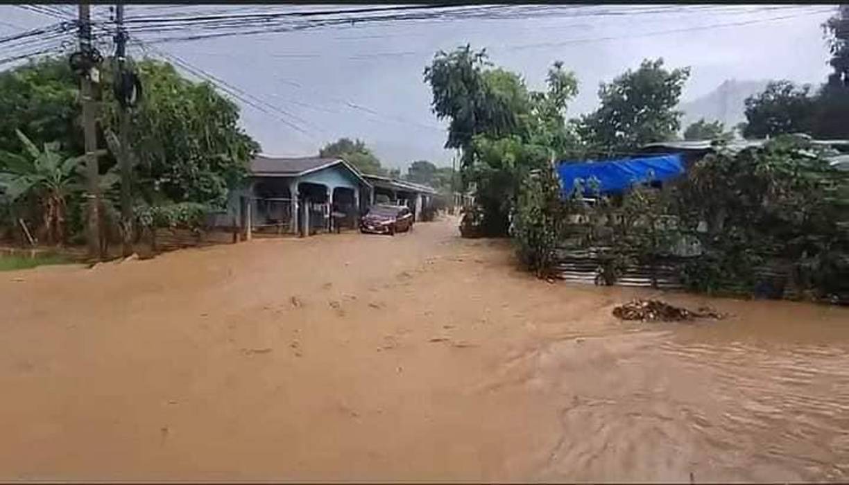 Las zonas más afectadas fueron las colonias de la parte norte de la ribereña ciudad y las aledañas al río Ulúa.