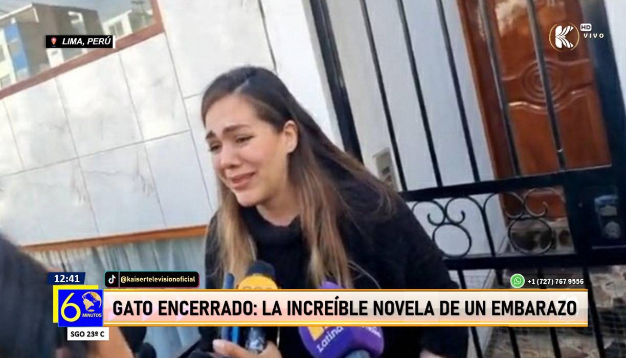 “Tengo pruebas, claro que sí. Quiero pensar que como no terminaron de hacerme los exámenes (tras reaparecer) es porque ellos piensan que no pudo darse un embarazo”, apostilló la joven.