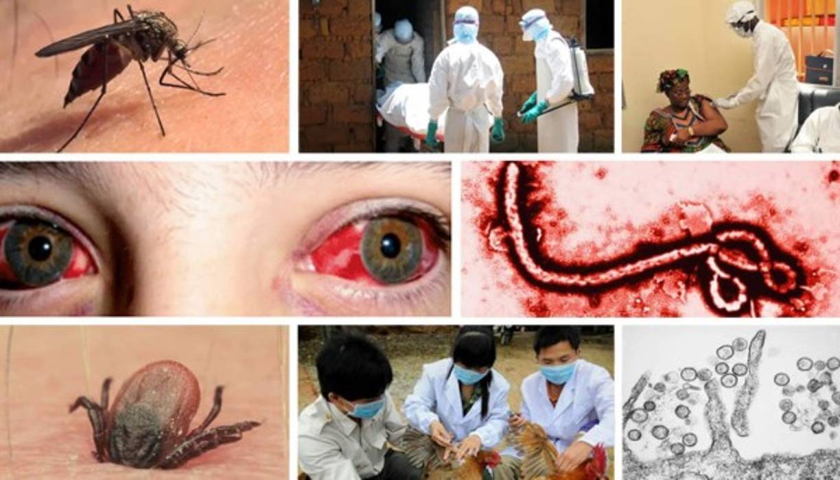 El nuevo coronavirus COVID-19 es el brote más temido en la actualidad en todo el mundo, pero la humanidad ha estado luchando contra los virus desde hace mucho tiempo. Estos son los más letales, basándonos en la probabilidad de que una personas muera si se infecta con uno de ellos.