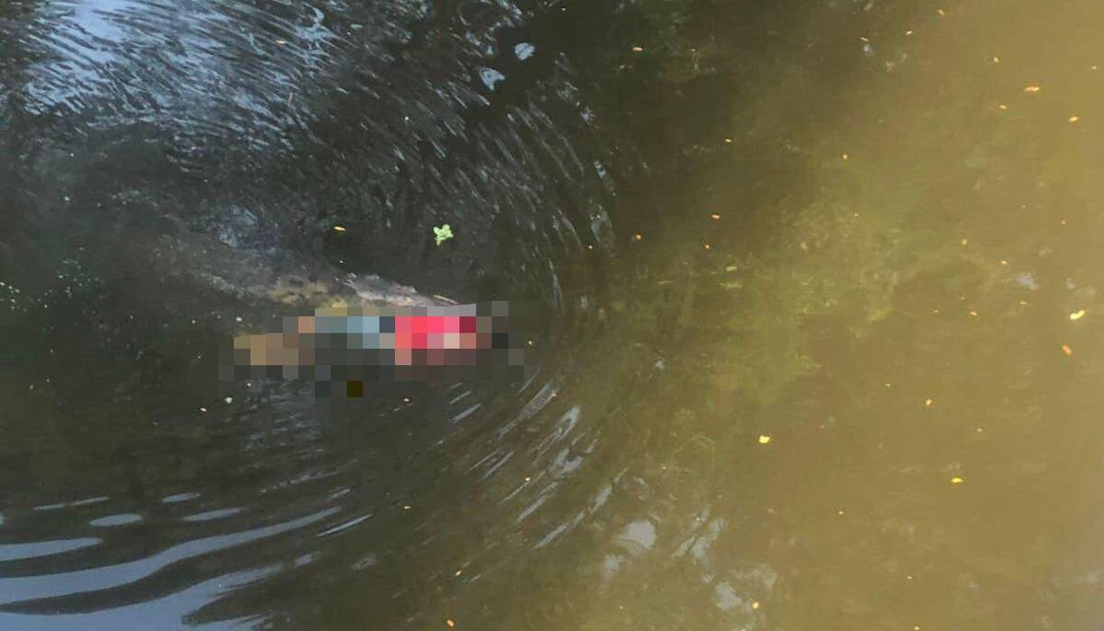 El reptil no soltaba el cuerpo del futbolista y los vecinos del lugar tomaron la decisión de asesinar al reptil. 