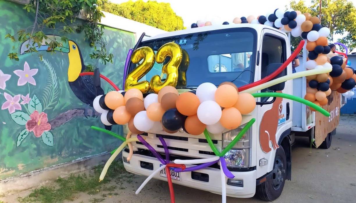 Los chicos finalizarán sus clases en la primera semana de noviembre. 