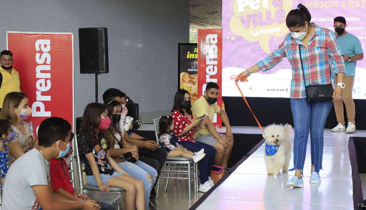 Para mayor información está disponible el número + 504 8959-4136.