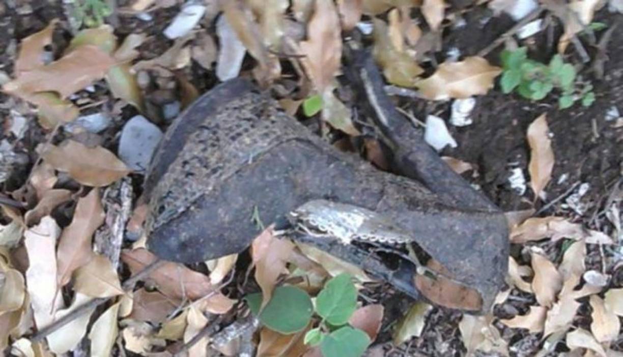 En entrevista con LMShow, el abogado Vance Owen se expresó confiado en la versión de la falla de un tornillo, porque eso sería lo que descubrieron las investigaciones de la Agencia Federal de Aviación de EU (FAA) en conjunto con la Dirección General de Aviación Civil mexicana.