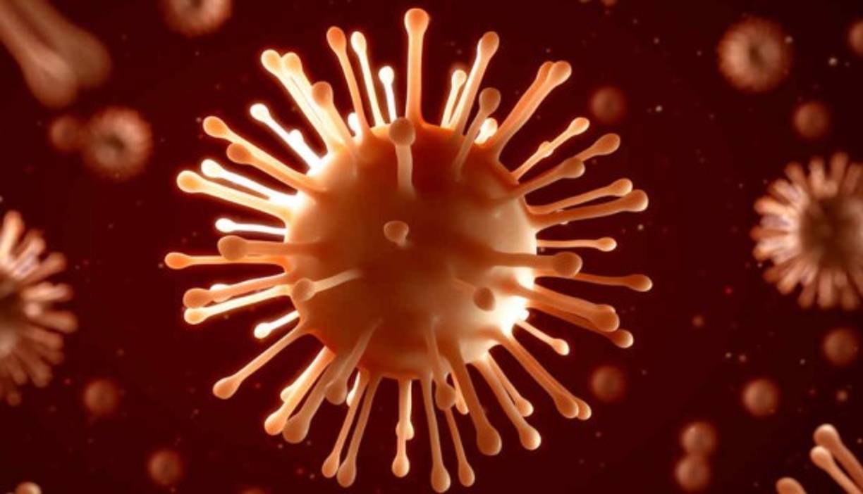 El investigador sugiere que los astronautas y las muestras de rocas procedentes de Marte u otros cuerpos celestes en futuras misiones espaciales deberán verificarse y ponerse en cuarentena para evitar el ingreso de los virus.