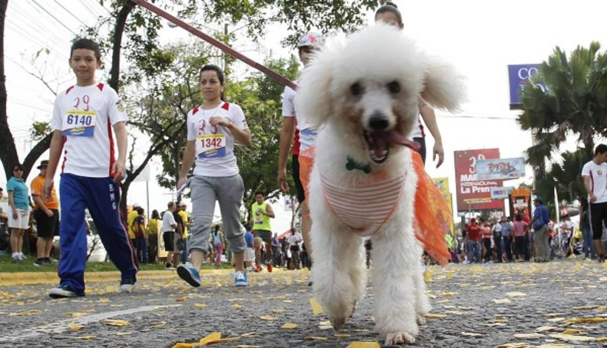 Ella también decidió correr en la Maratón.
