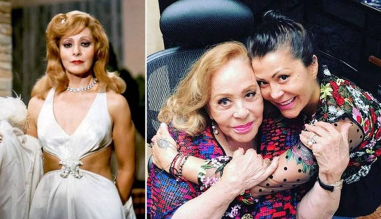 Una vez separada de Guzmán, Silvia continuó con su show de variedades titualdo ¡Ahora Silvia!, producido por Miguel Sabido.