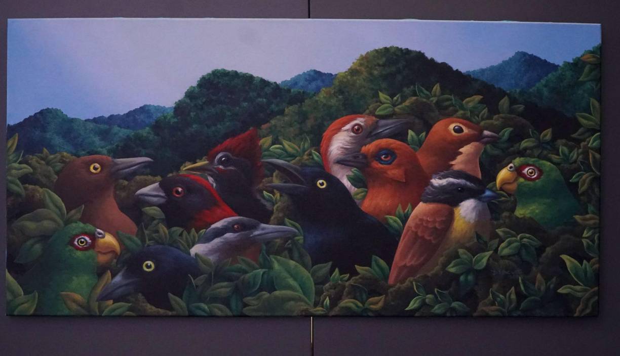 <b>Usula (valle de pájaros)</b>Alejandro Discua