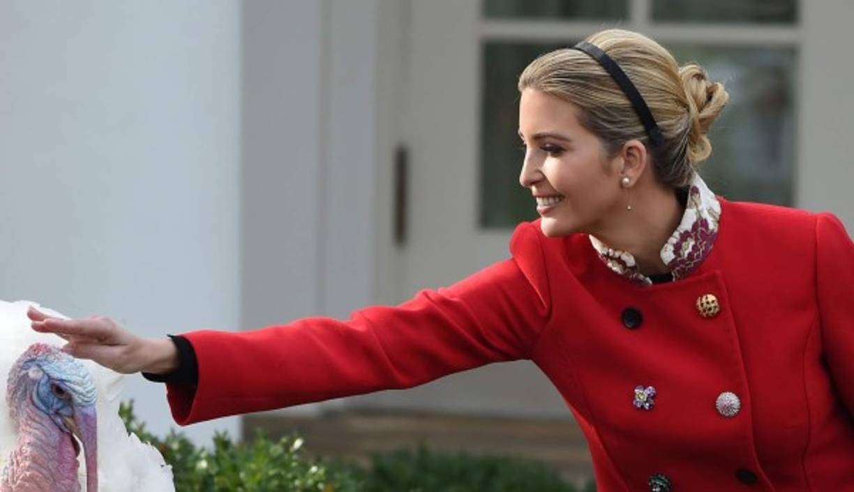 Ivanka Trump también acarició al pavo perdonado antes de viajar hoy mismo a Palm Beach, con su familia, donde celebrarán Acción de Gracias y descansarán hasta el próximo domingo.