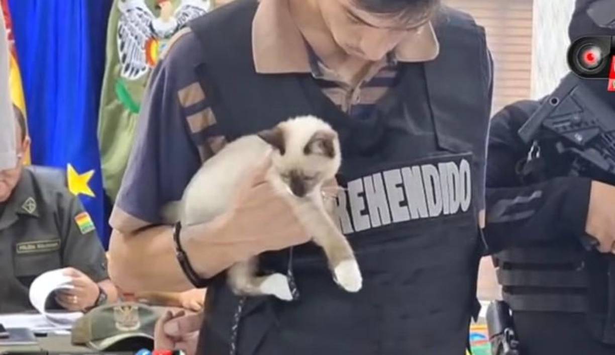 Este hecho delictivo se registró en la zona del segundo anillo y avenida Virgen de Cotoca de Santa Cruz de la Sierra, Bolivia, el pasado 22 de noviembre.