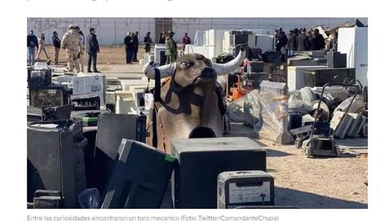 En el operativo en el que la SSPE rescató al felino tatuado también fueron encontradas otras llamativas pertenencias de “Los Mexicles”, como un toro mecánico, televisiones de plasma, refrigeradores industriales, bocinas, parrillas y hasta un par de tenis con un valor estimado de 19.500 pesos mexicanos.