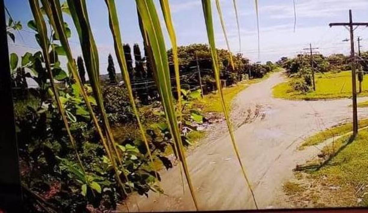 Chamelecón es uno de los sectores más azotados por el fenómeno de las maras y pandillas, que amedrentan a la población cometiendo delitos que van desde la extorsión hasta el secuestro y los asesinatos, 