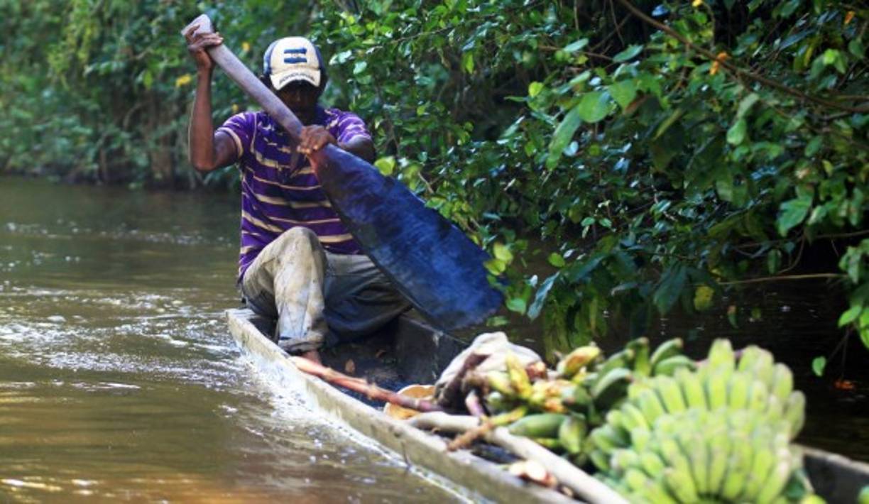 El principal medio de transporte en La Mosquitia hondureña son los cayucos. Sirven para movilizar personas y alimentos. Fotos: Jordan Perdomo.