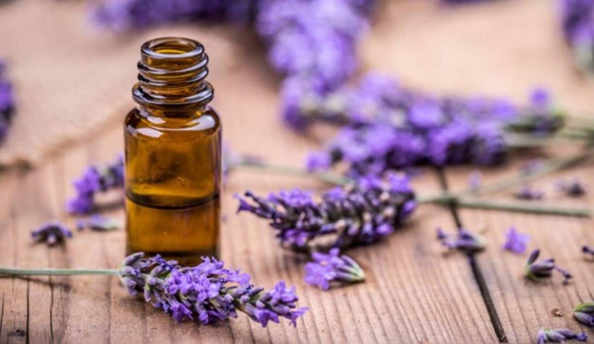 Uno de los mejores ingredientes para acabar con los molestos aromas que tantas veces se instalan en el interior de los zapatos es la lavanda, una planta de agradable y relajante perfume muy usada en el mundo de los remedios caseros.