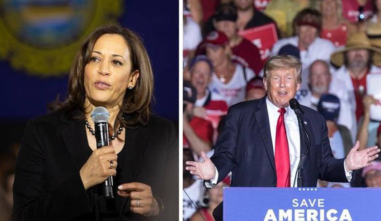 Le siguen en importancia, Georgia y Carolina del Norte, cada uno con 16 votos, así como Míchigan (15), Arizona (11), Wisconsin (10) y Nevada (6).