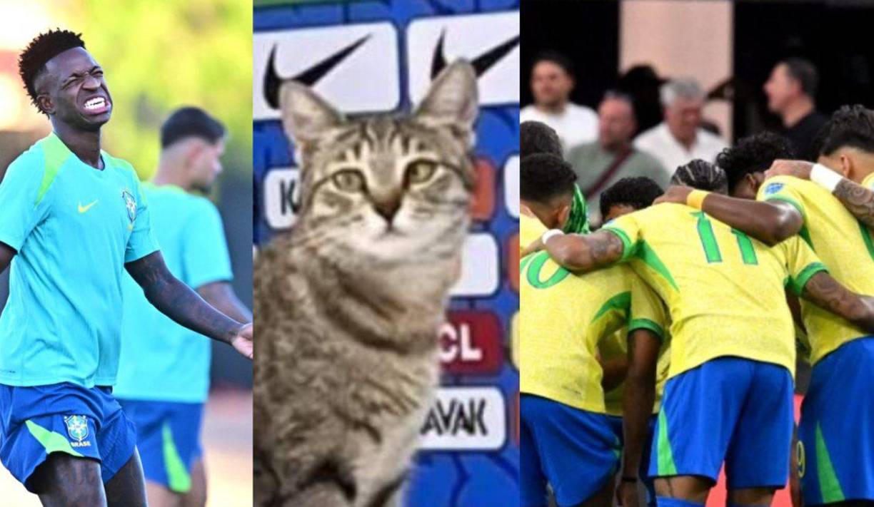 La selección de Brasil volvió a fracasar tras quedar eliminado en cuartos de final de Copa América 2024 y nuevamente ha surgido la “maldición del gato”.¿En qué consiste? 