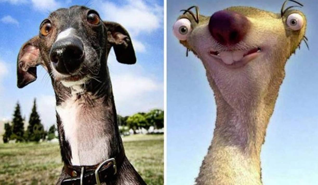 Sid de la Era del Hielo