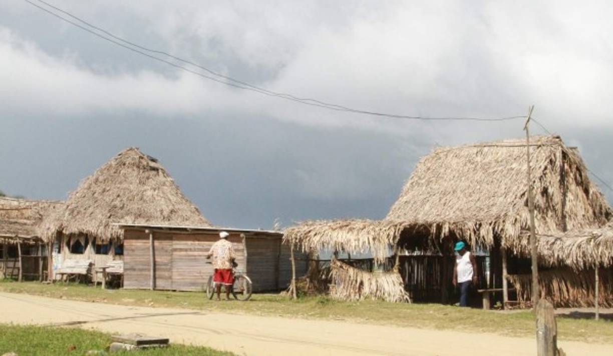 <br/><br/><br/>Ellos mismos construyen sus viviendas con bambú para elaborar las paredes y manacas para el techo. <br/>