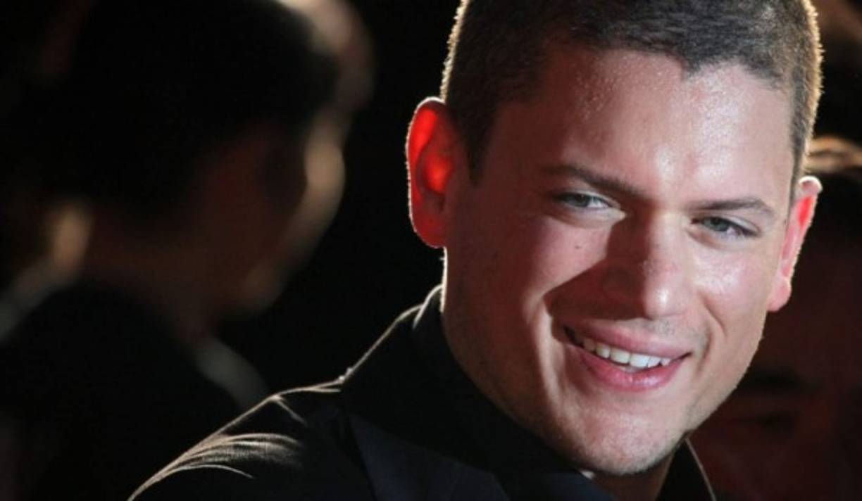 Wentworth Miller, el actor de la serie estadounidense 'Prison Break', anunció en 2013 que era gay cuando en una carta rechazó una invitación para asistir al Festival Internacional de Cine de San Petersburgo, porque se sentía 'profundamente afligido' del tratamiento del gobierno ruso a sus ciudadanos gay.<br/>
