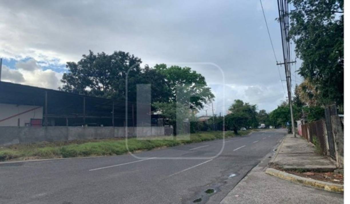 Concurridos sectores de la urbe hoy distan de la algarabía acostumbrada.