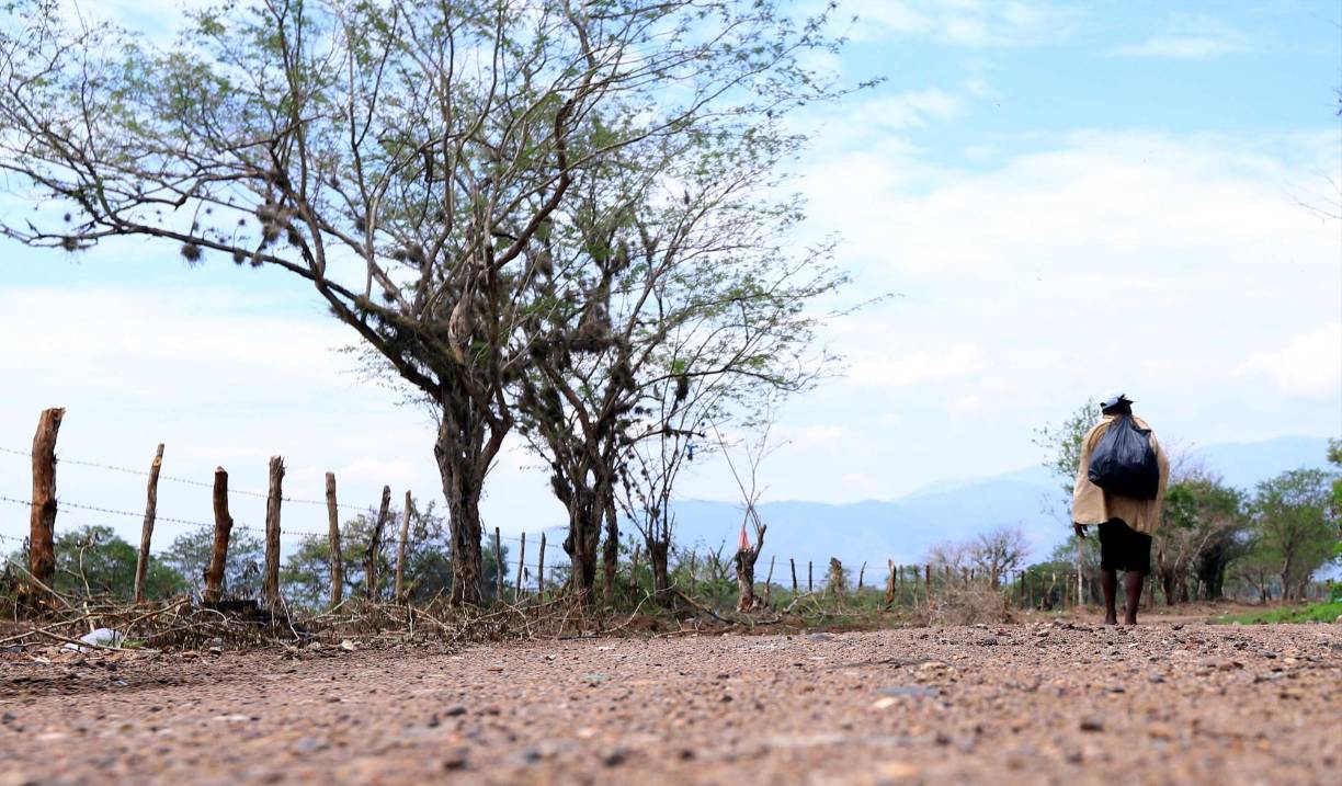 Juan José Molina, vicepresidente de la Sago, expresó que están viviendo una situación sin precedentes no solo en el municipio de Olanchito, sino que en todas las regiones afectadas por la sequía. 