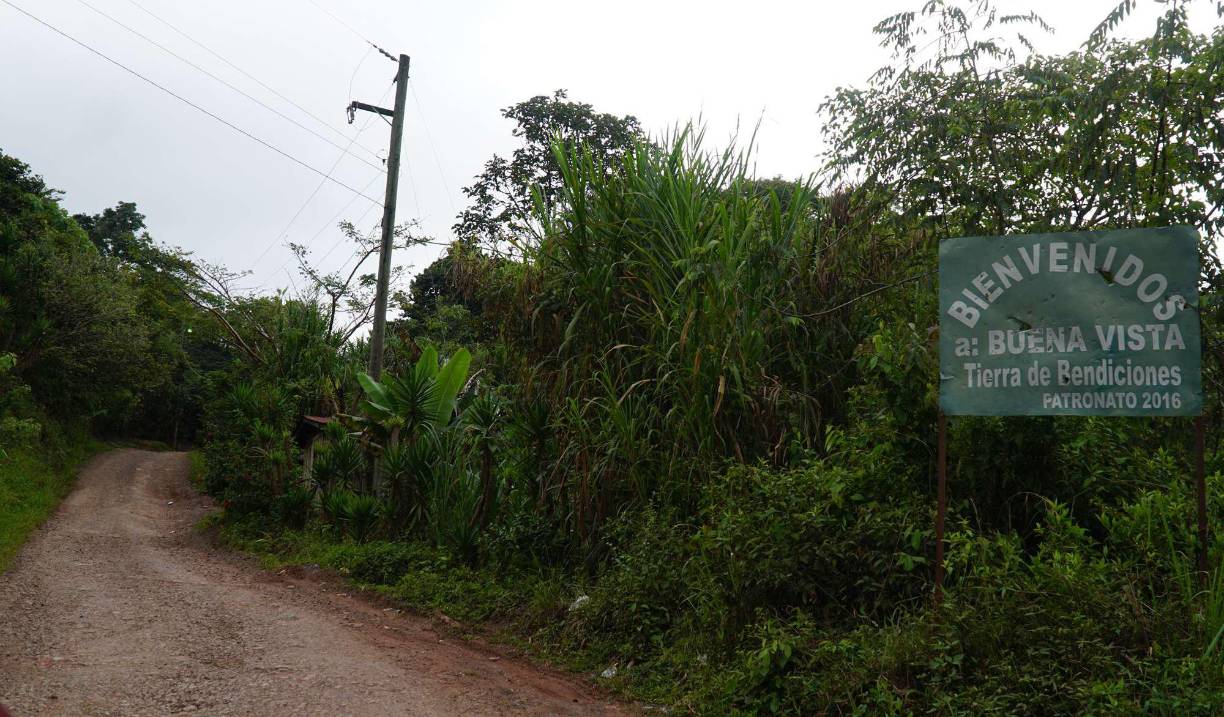 Un grupo de ocho sicarios, a bordo de dos camionetas y portando armas de grueso calibre, ingresaron sorpresivamente a una finca de la montañosa región de Victoria Yoro, con el único objetivo de perpetrar una masacre que arrebataría la vida de cuatro hombres y una mujer. 