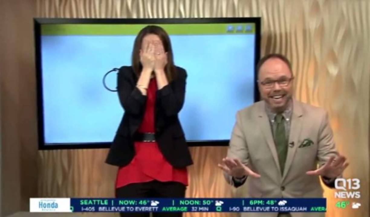 La presentadora estadounidense Kaci Aitchison, nunca imaginó que pasaría un momento tan bochornoso durante su programa en vivo. Resulta que la mujer participó en una dinámica del juego de Google, 'Quick, Draw' que adivina exactamente qué está dibujando el usuario. Todo en menos de 20 segundos. Pero tras un inocente error, el juego se convirtió en un picante momento para la televisión matutina. Kaci debía dibujar en la pantalla un 'cañon', sin embargo la figura le salió mal y terminó dibujando un miembro viril.