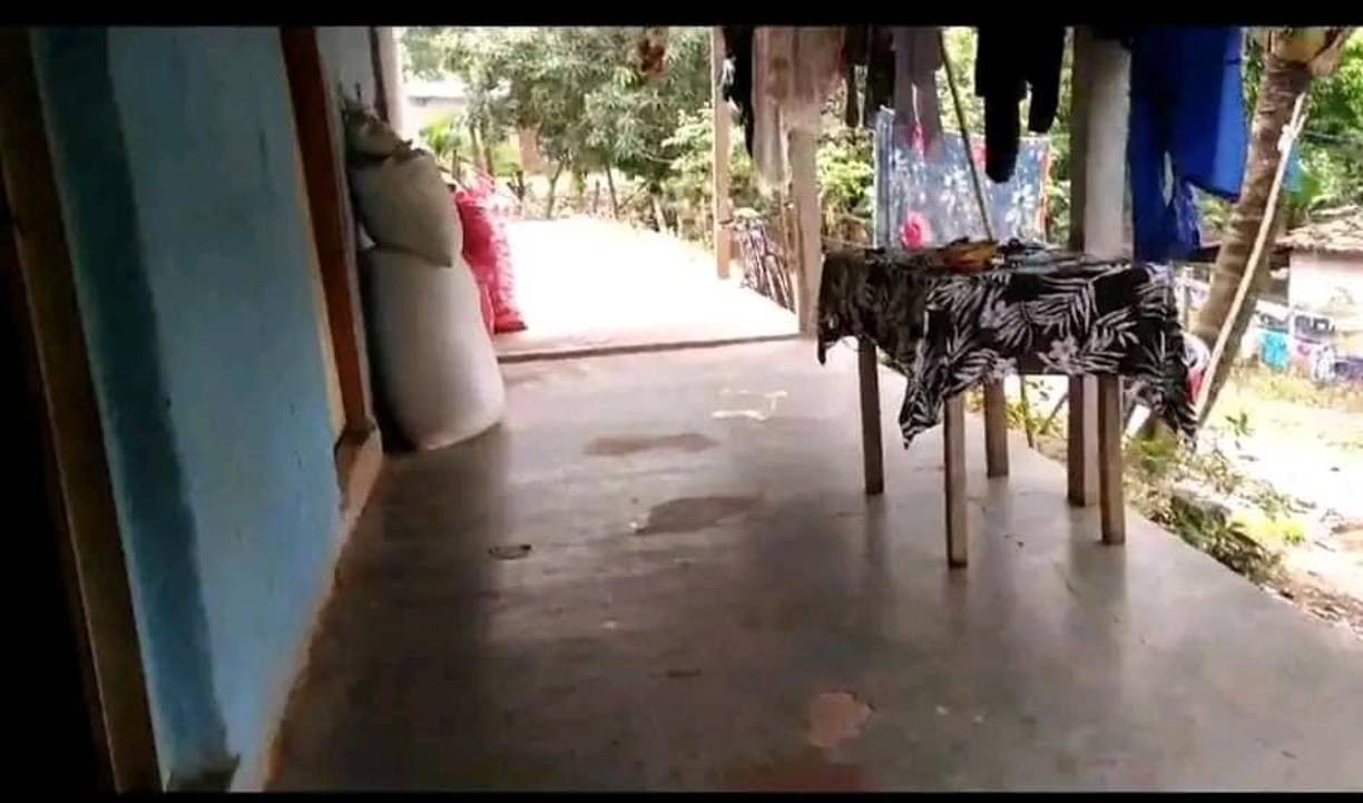 Otros detalles sobre el sospechoso precisan que había sido deportado de Estados Unidos durante los últimos meses y que tenía conflictos personales con la madre del menor y expareja. 