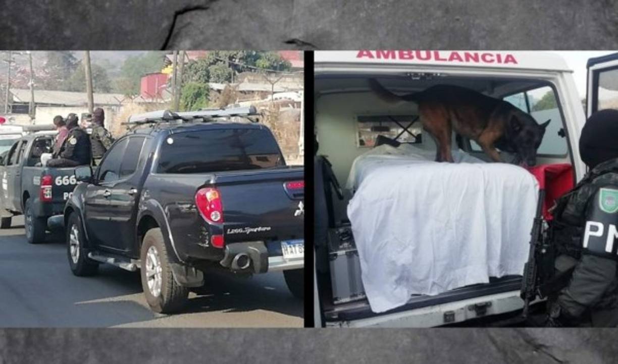 La FNAMP reporta el decomiso de alrededor de 130 millones de lempiras producto de drogas en 2021.